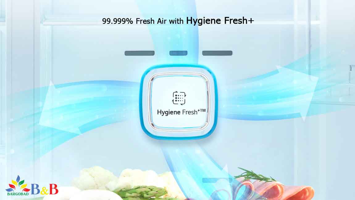 فیلتر بهداشتی Hygiene Fresh+
