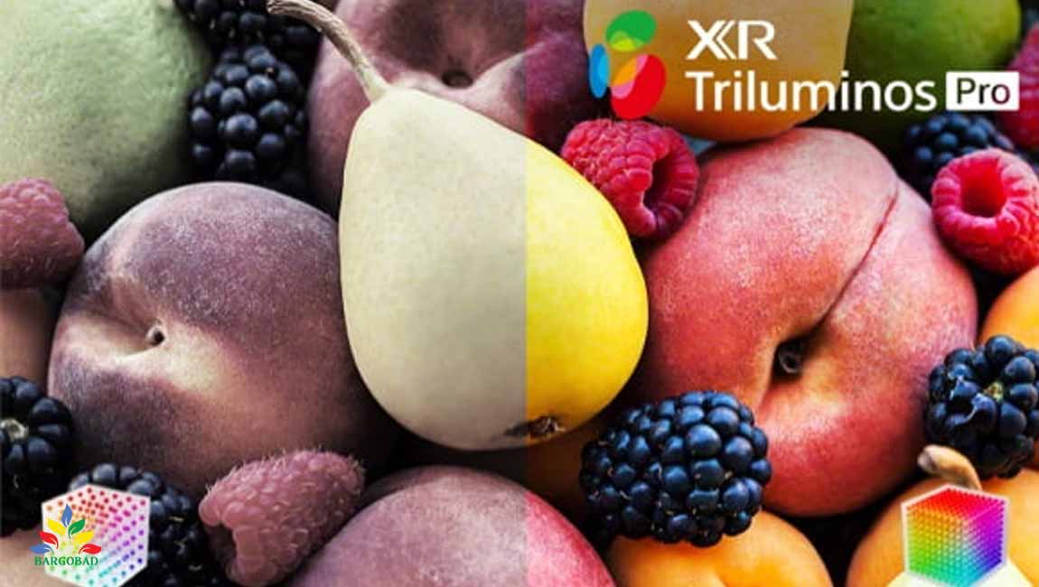 XR Triluminos Pro در تلویزیون 55 اینچ سونی A90K